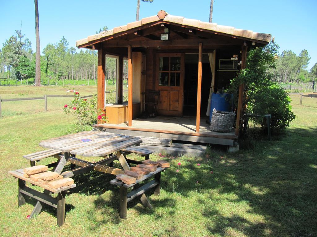 Gite Foret Landaise Sainte-Eulalie-en-Born Kültér fotó